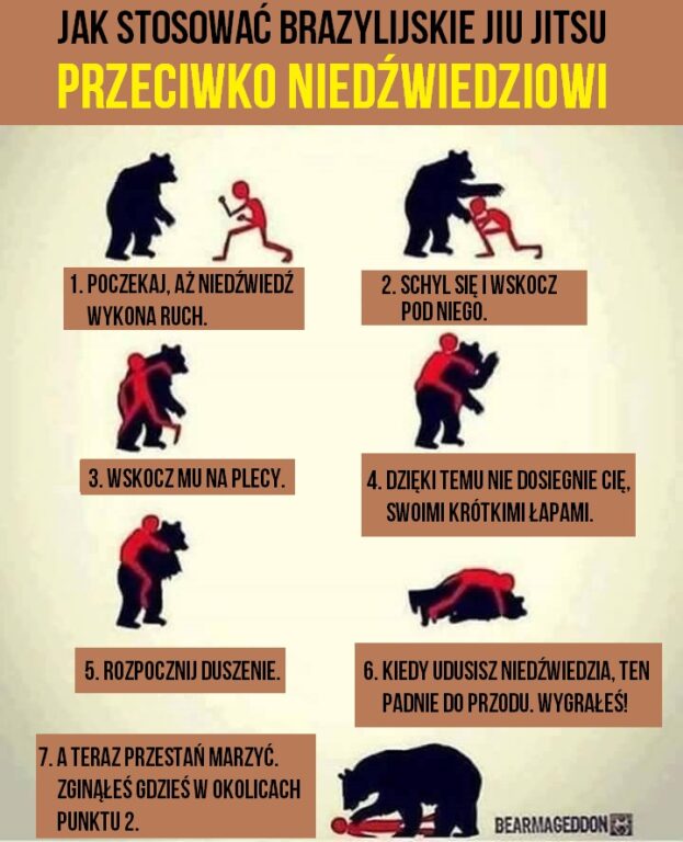jak obronić sie przed niedźwiedziem